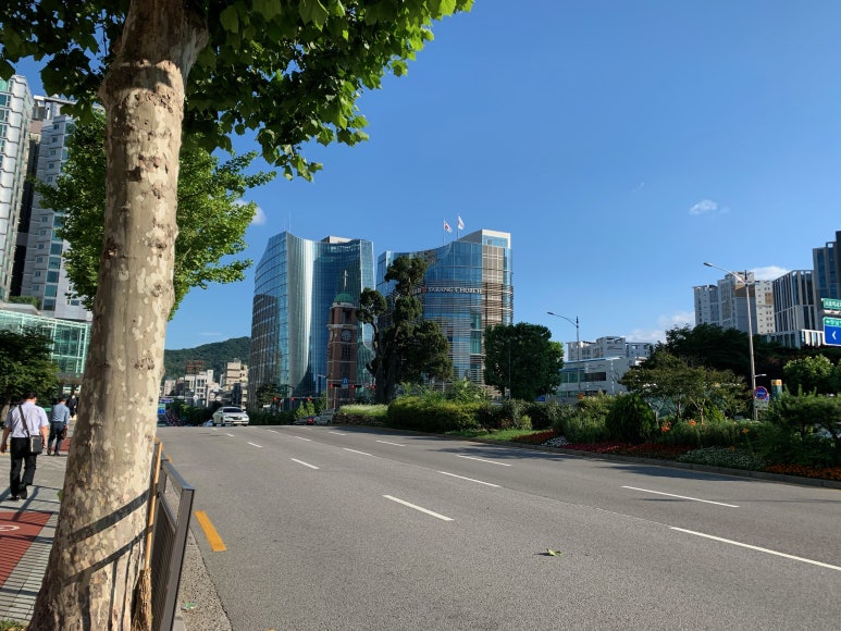 푸른꽃마을 이미지