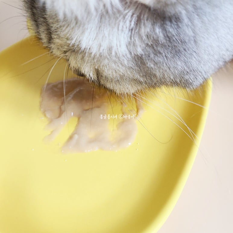 바이엔바이 이미지