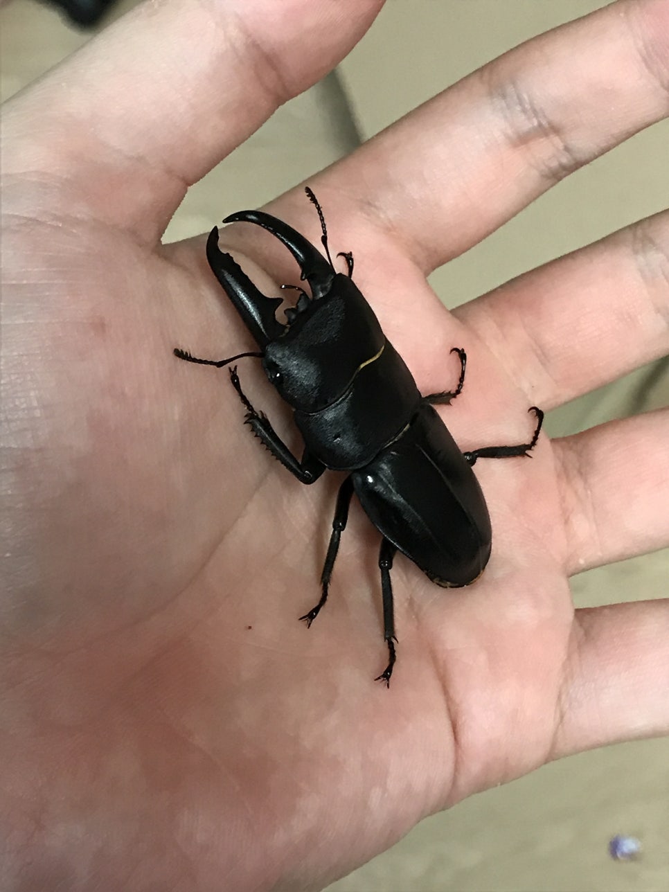 타이케 이미지