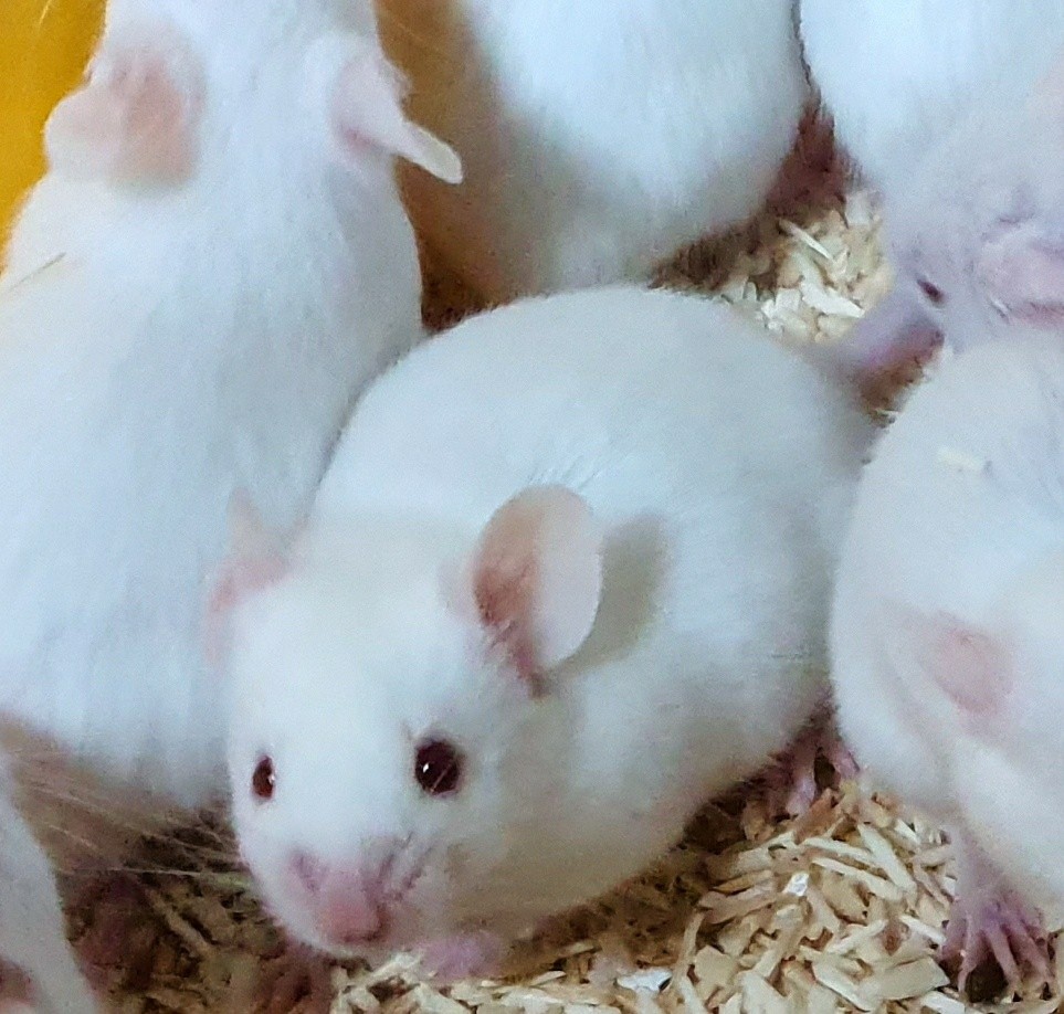 마린샵 이미지