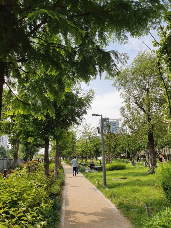 숲길 이미지
