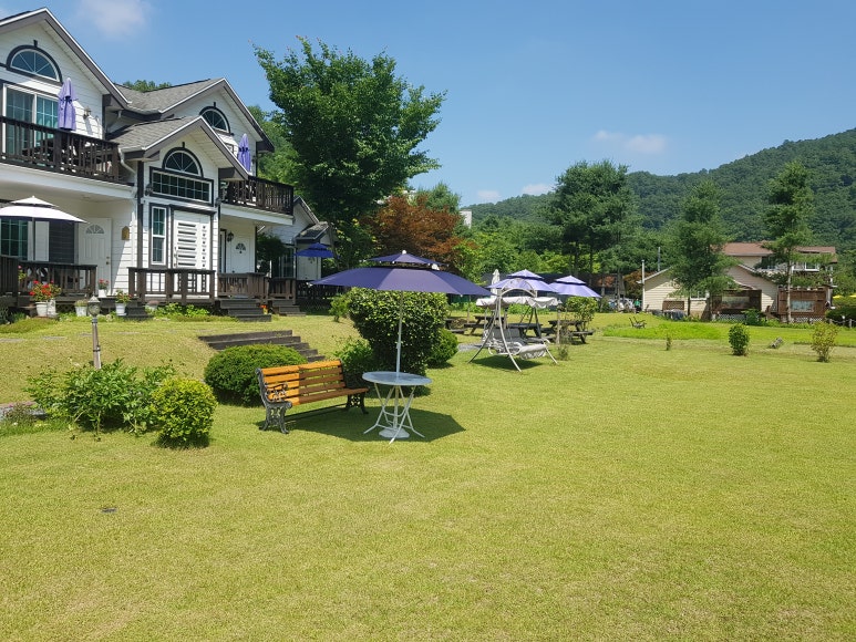 별빛소나타 이미지