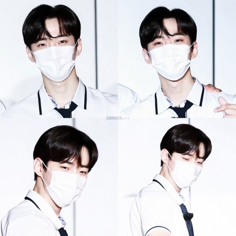 준호갤러리 이미지