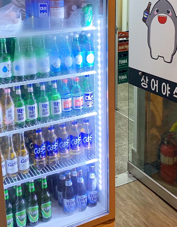 상어야식 이미지