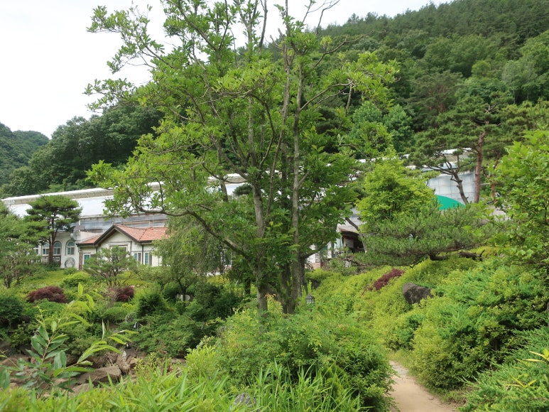 하늘물빛정원 이미지