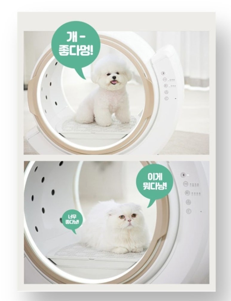 드라이세상 이미지