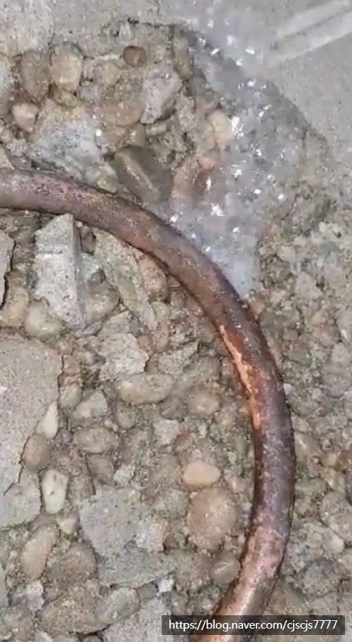 수한미장 이미지