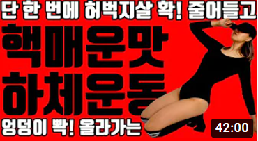 삐약스핏 이미지