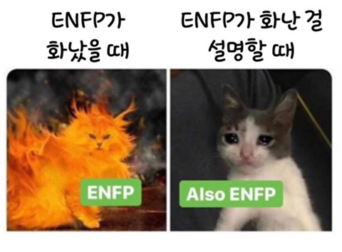 몽비 이미지