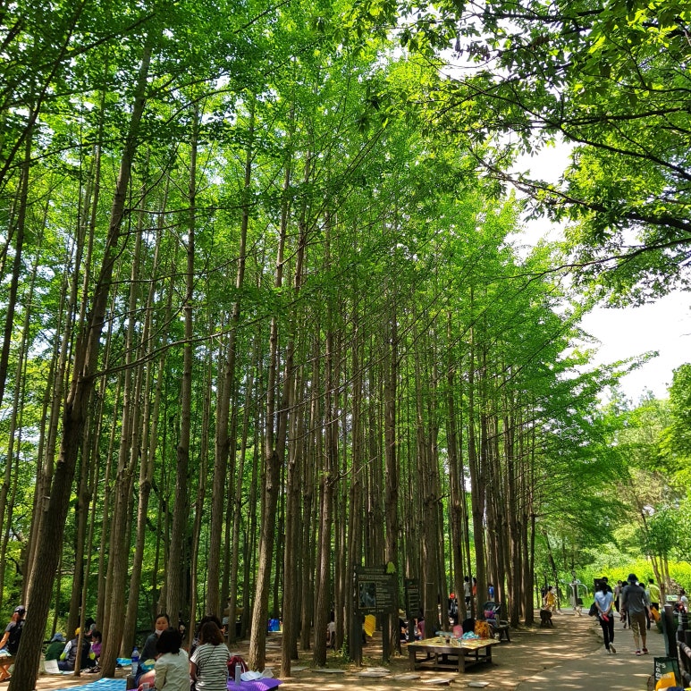 수관기피 이미지