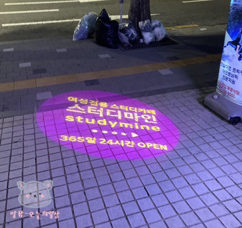 스터디마인 이미지