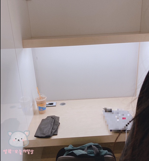 스터디마인 이미지
