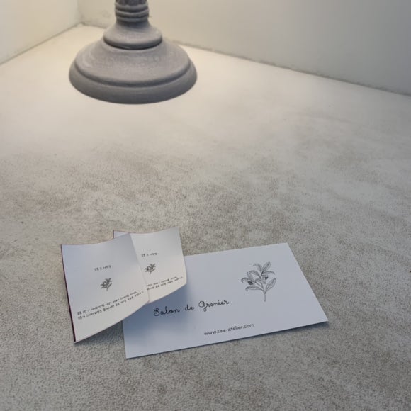 살롱드방 이미지
