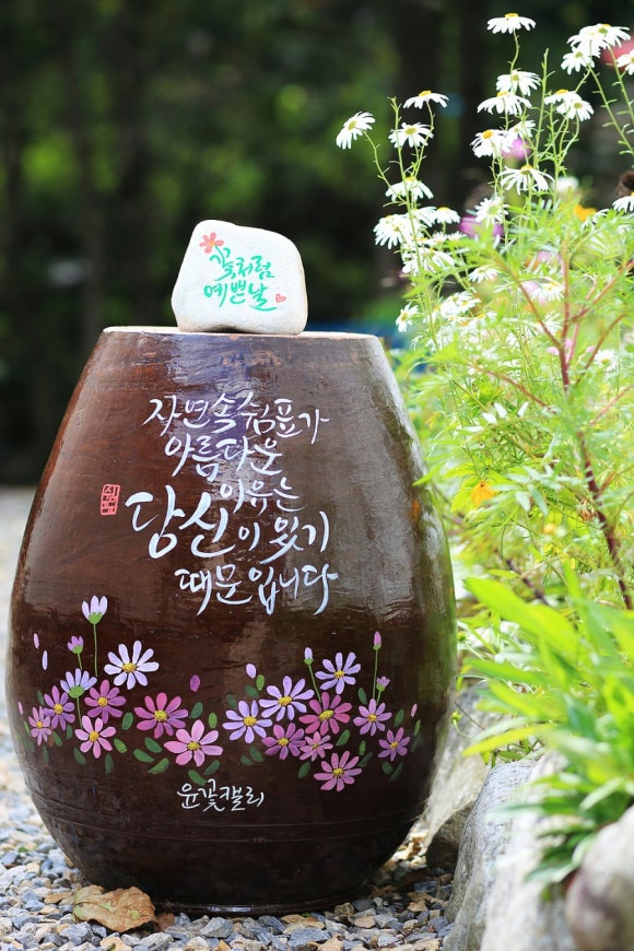 평창자연속쉼표 이미지