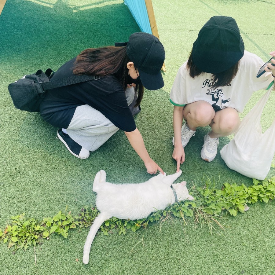 에제르파크 이미지