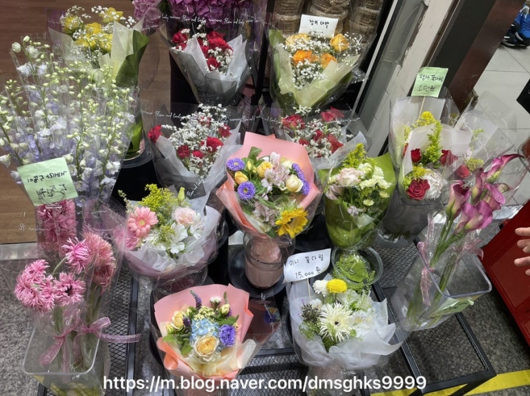 스위트드림플라워 이미지