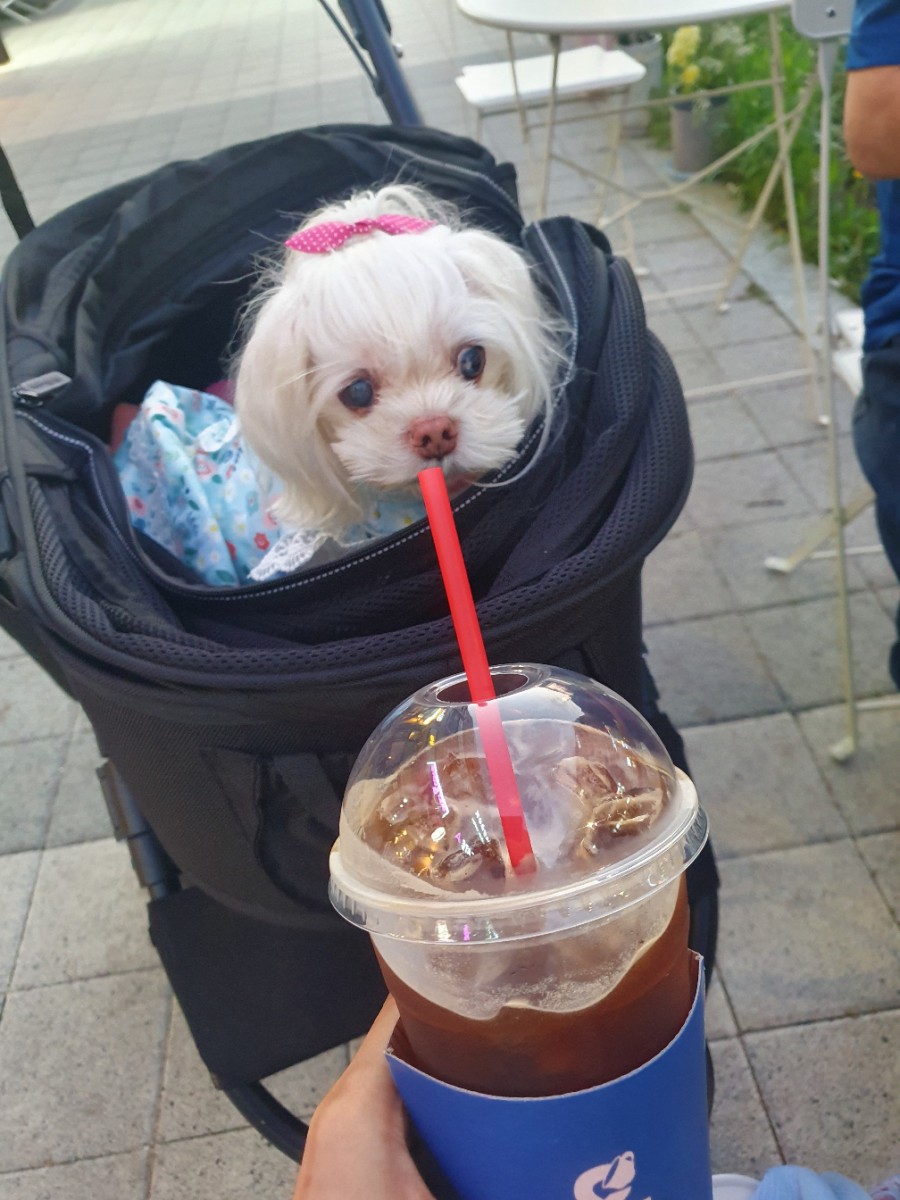 코봉이커피 이미지