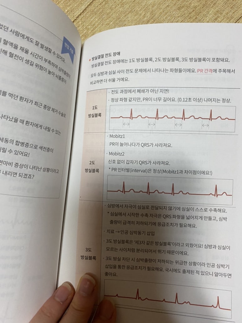 원탑(1TOP) 이미지
