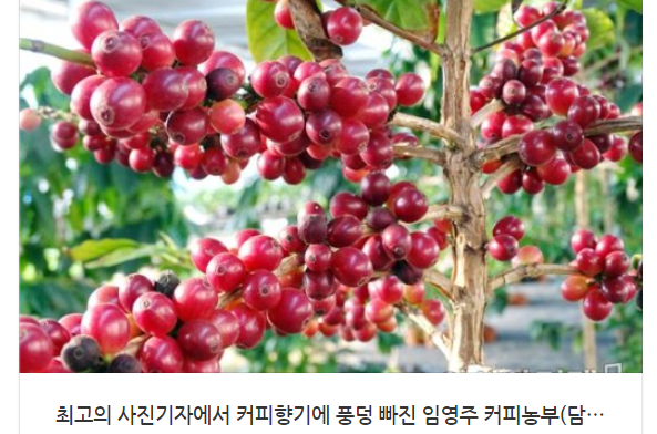 명성FMC 이미지