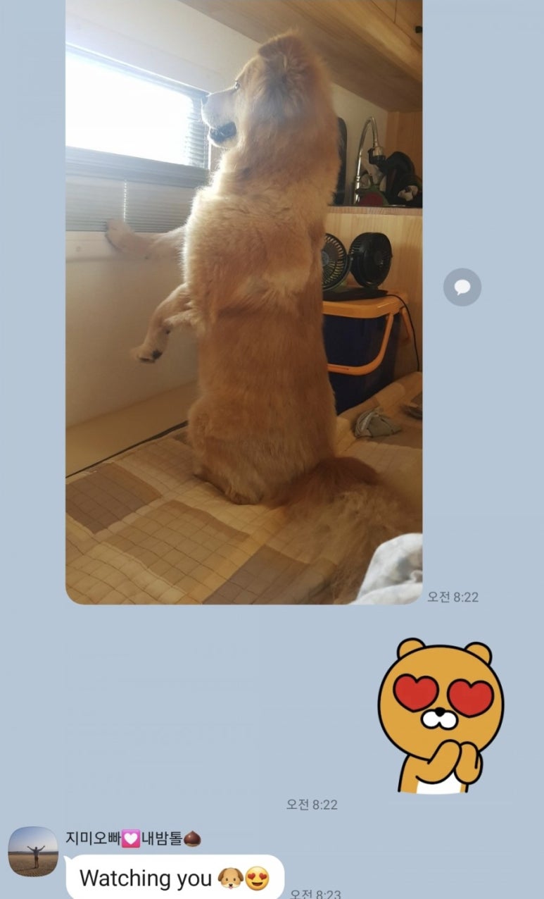 아산드론교육원 이미지