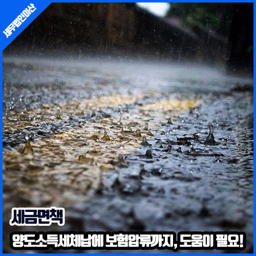 세무법인이산 이미지