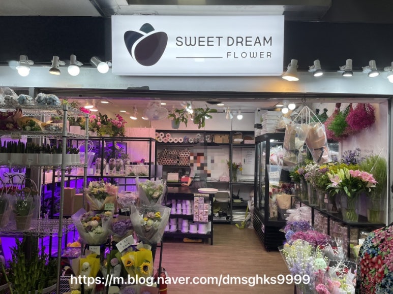 스위트드림플라워 이미지