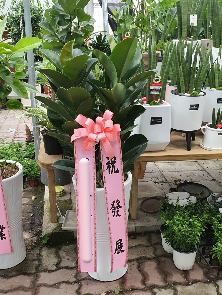 당진노래클럽 이미지