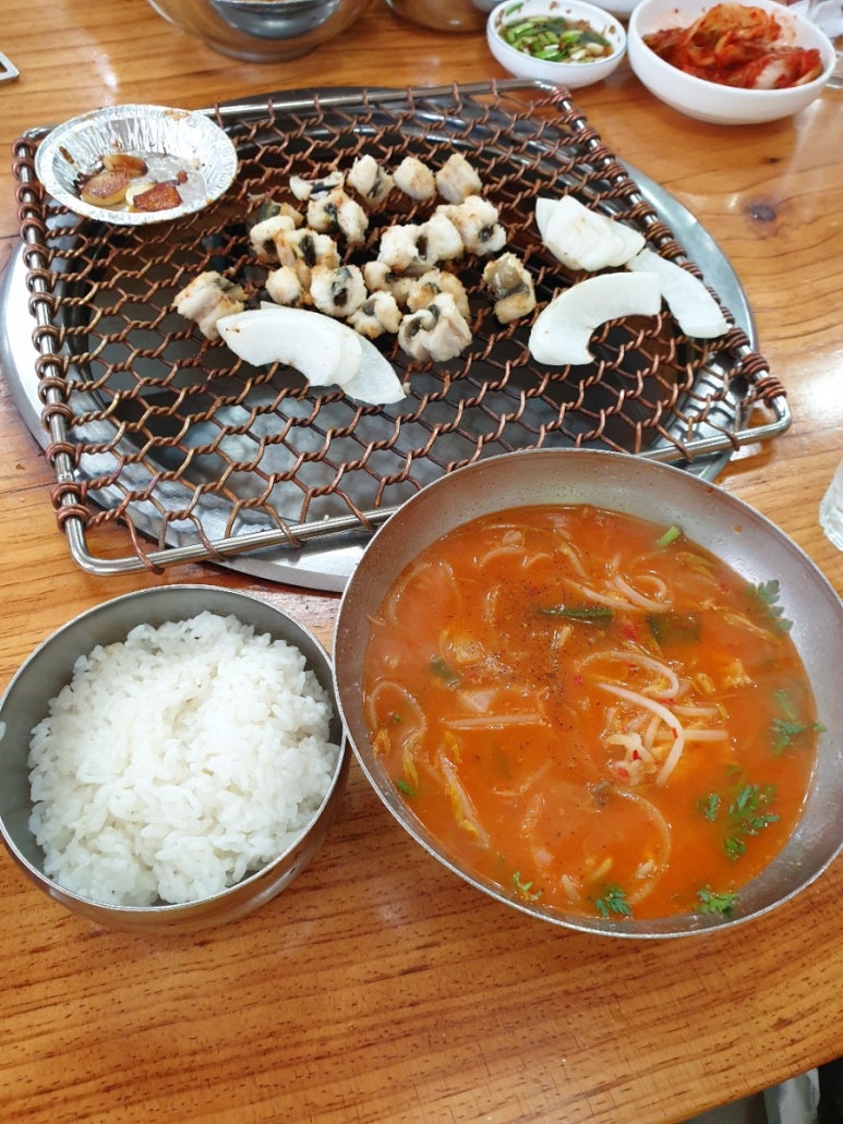 카페트리커피나무 이미지