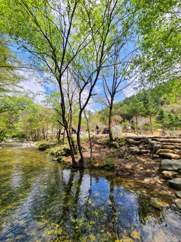 자연펜션캠핑장 이미지