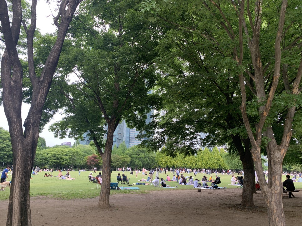 도스김밥 이미지