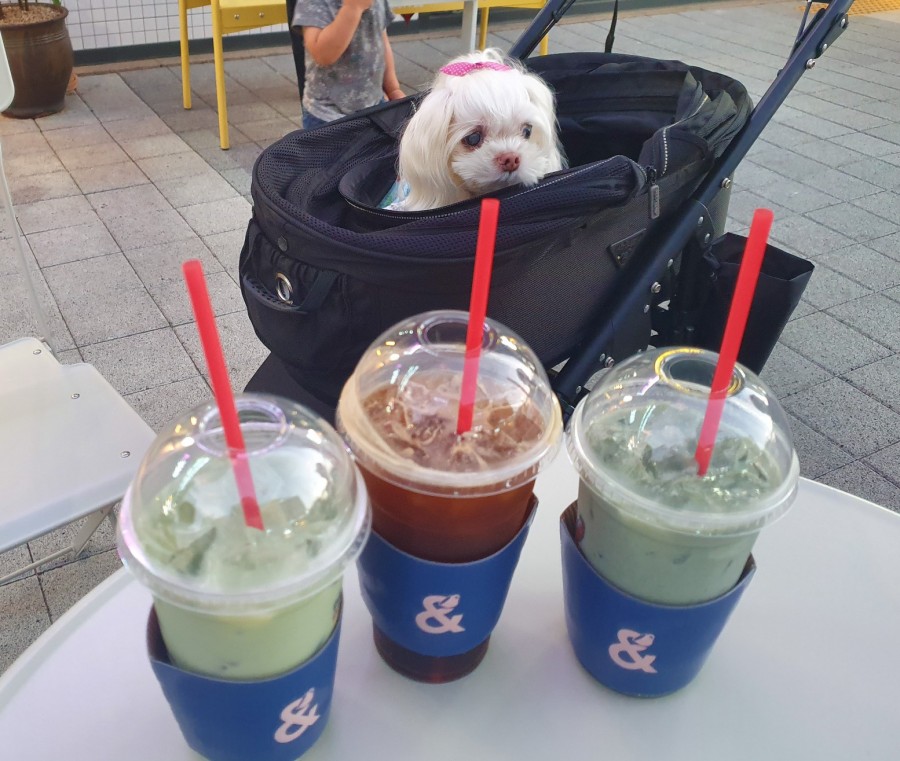 코봉이커피 이미지