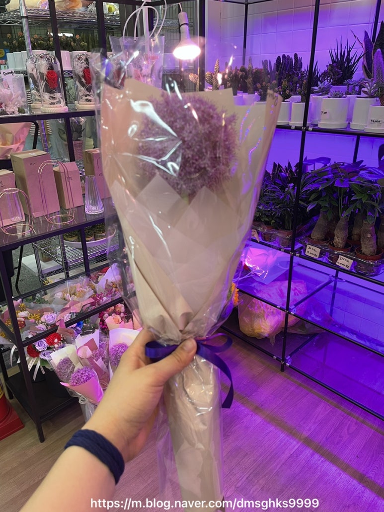스위트드림플라워 이미지
