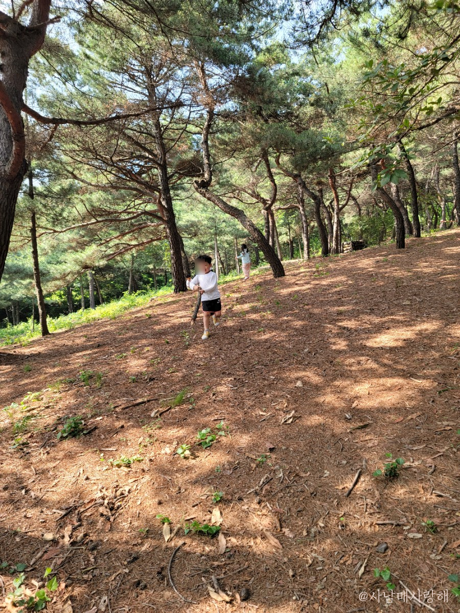 소산서원 유아숲체험원 이미지