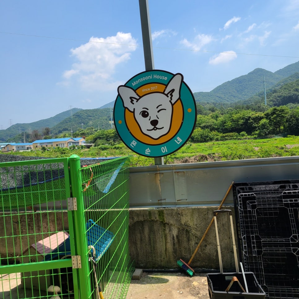 아이스홀릭 정관점 이미지