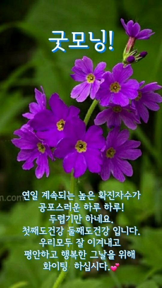 퓨젼통신 이미지