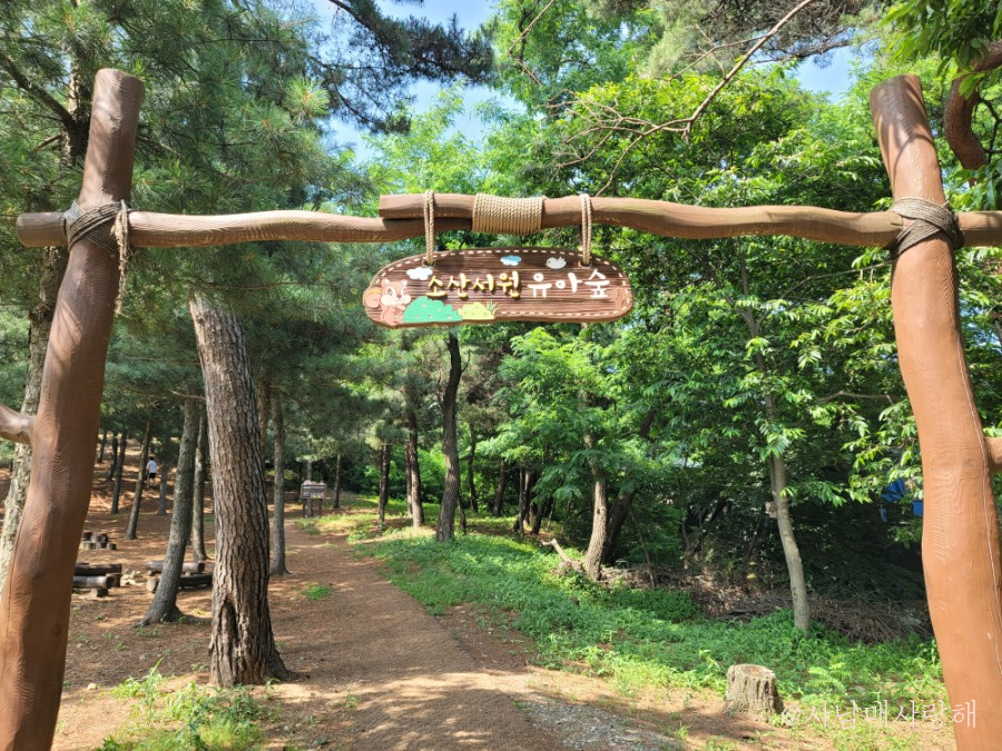 소산서원 유아숲체험원 이미지