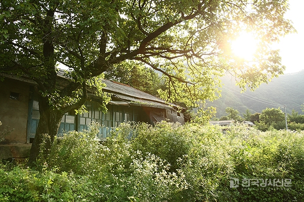 떡하지 이미지