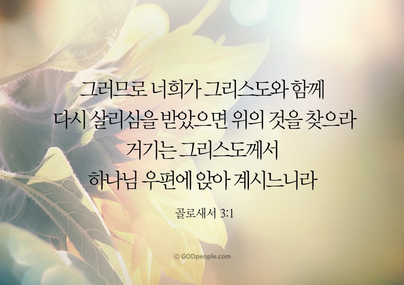 미크바 이미지