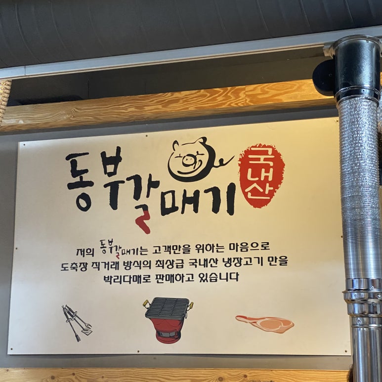 동부갈매기 이미지