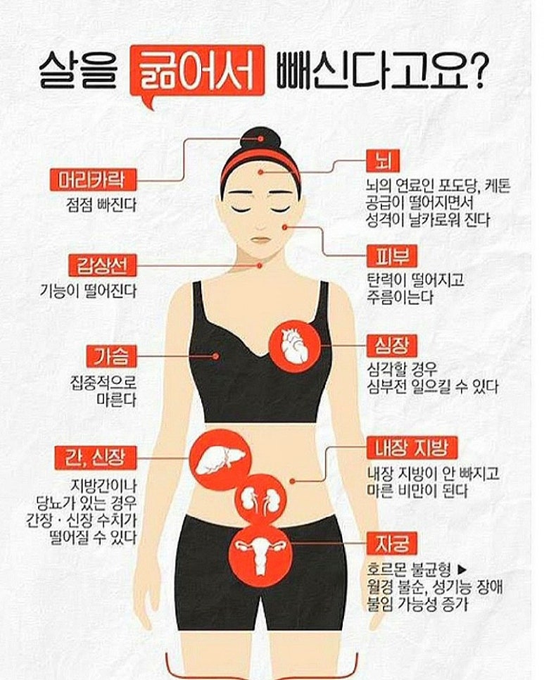 제이그린 이미지