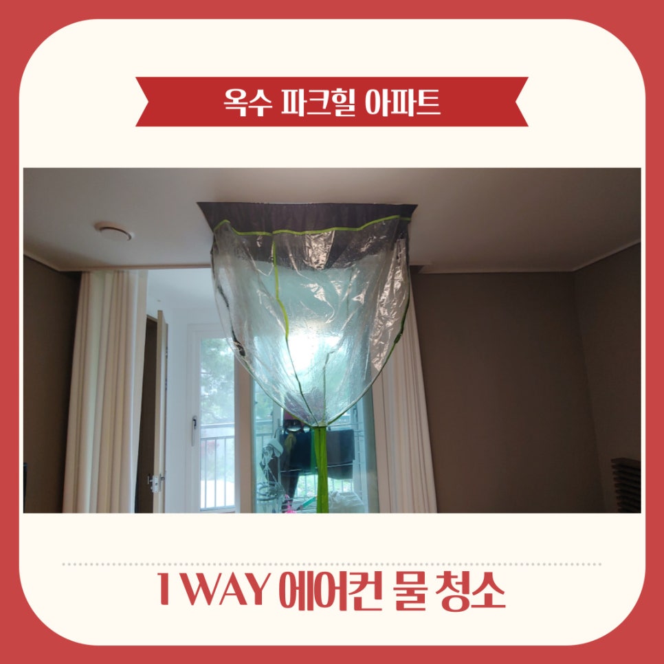 버블크린 이미지