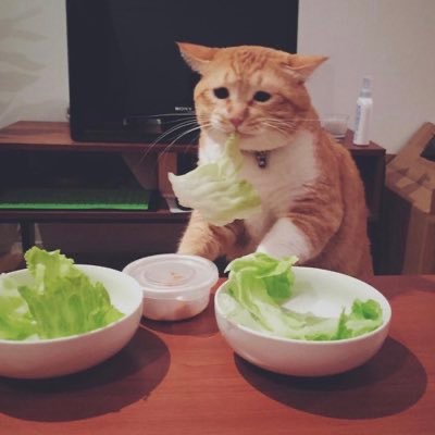 흥부네숯불갈비 이미지