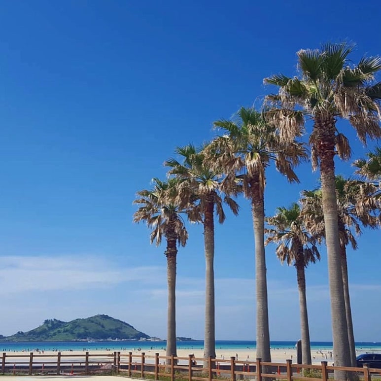 오키서키투어(Mario Travel Agency) 이미지