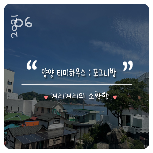 티미하우스 이미지