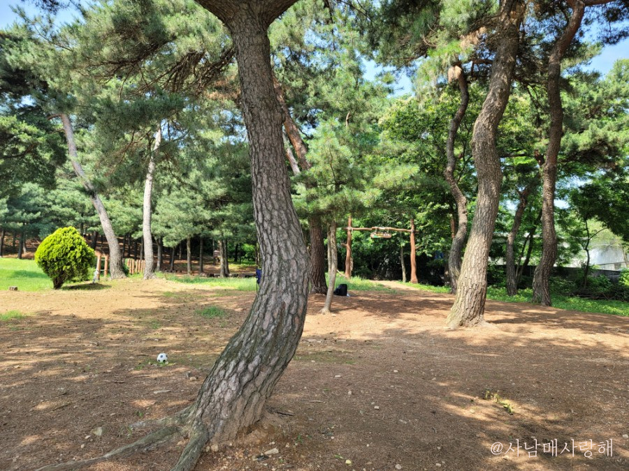소산서원 유아숲체험원 이미지