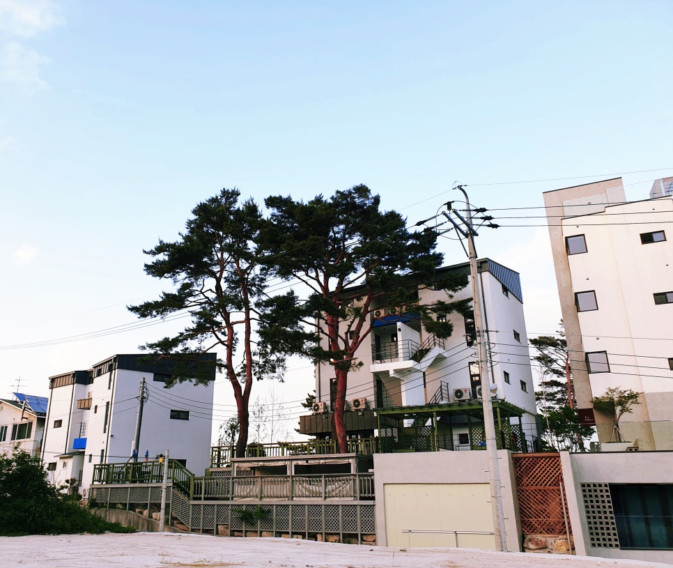 시닉94 이미지