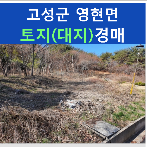 대지이용원 이미지