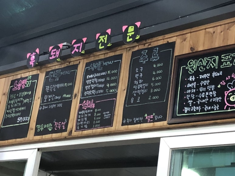 노을빛돼지 이미지
