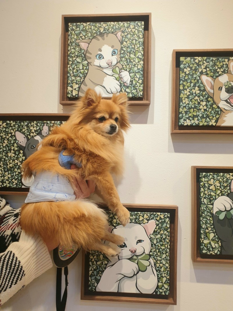 토리짱 이미지