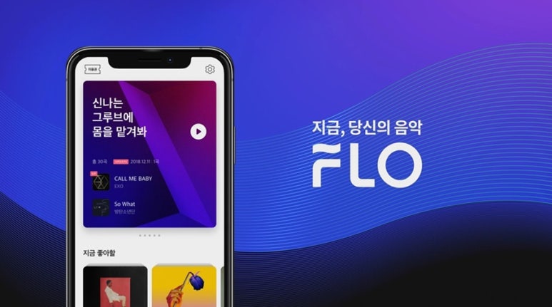 플로D 이미지